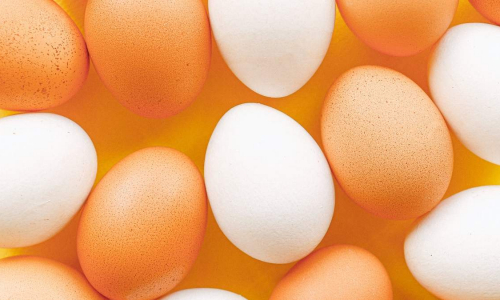 Названы положительные свойства яиц